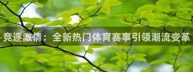 竞逐激情：全新热门体育赛事引领潮流变革