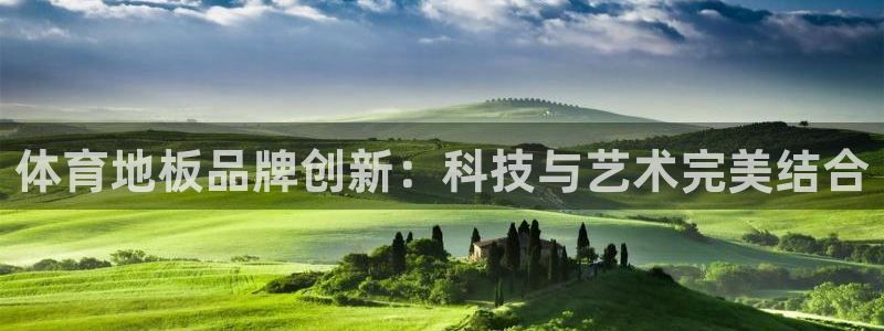 体育地板品牌创新：科技与艺术完美结合
