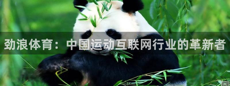 劲浪体育：中国运动互联网行业的革新者