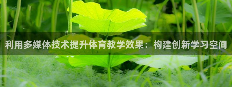 利用多媒体技术提升体育教学效果：构建创新学习空间