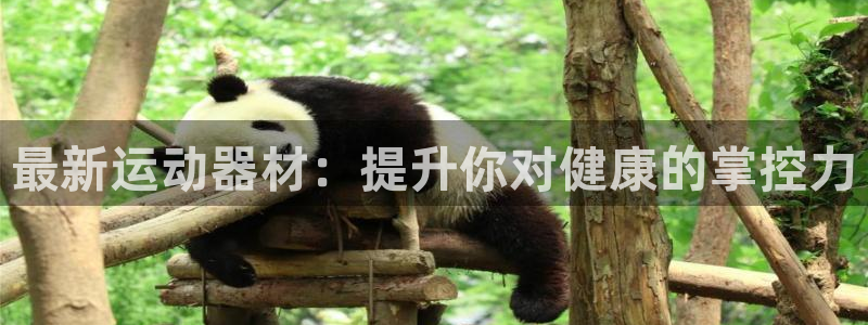 最新运动器材：提升你对健康的掌控力