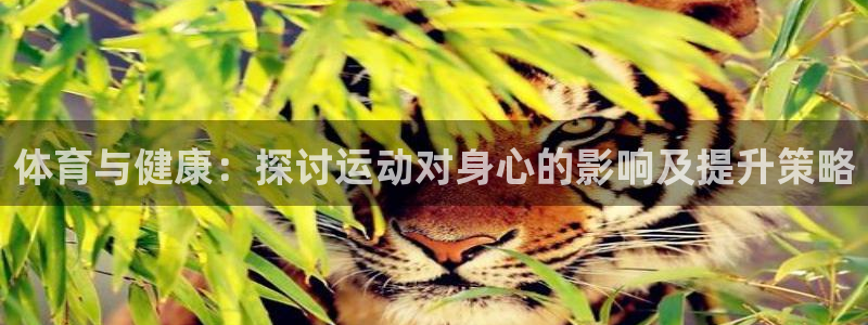 体育与健康：探讨运动对身心的影响及提升策略