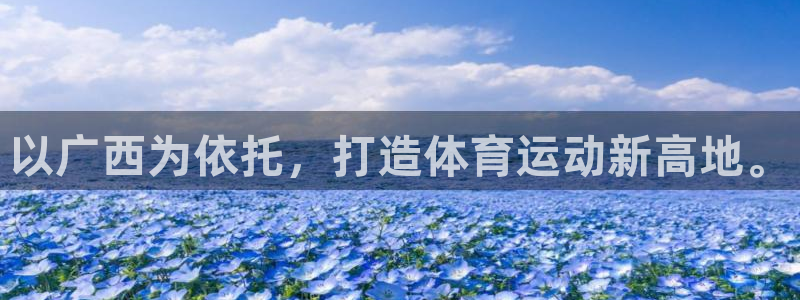 以广西为依托，打造体育运动新高地。