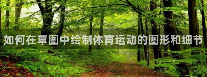 如何在草图中绘制体育运动的图形和细节