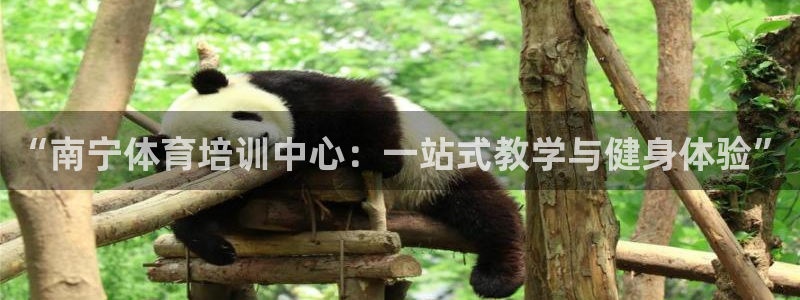 “南宁体育培训中心：一站式教学与健身体验”
