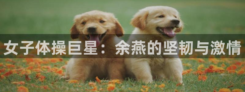 女子体操巨星：余燕的坚韧与激情