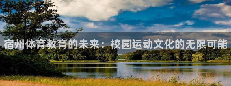 宿州体育教育的未来：校园运动文化的无限可能