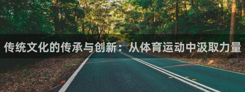 传统文化的传承与创新：从体育运动中汲取力量