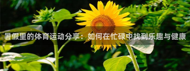 暑假里的体育运动分享：如何在忙碌中找到乐趣与健康