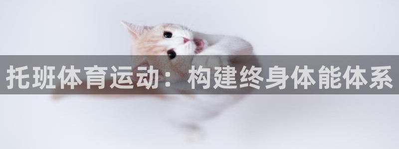 托班体育运动：构建终身体能体系