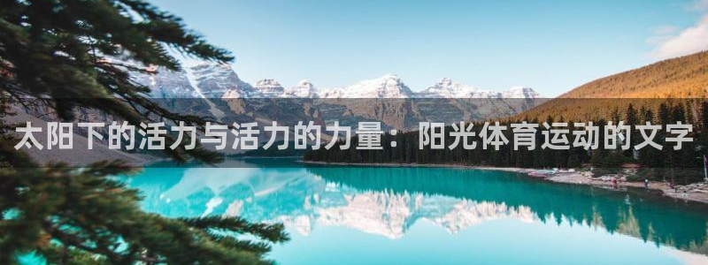 太阳下的活力与活力的力量：阳光体育运动的文字