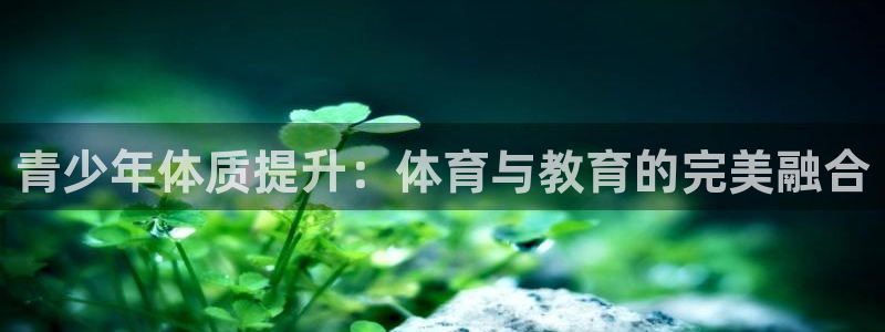 青少年体质提升：体育与教育的完美融合